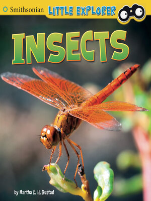 cover image of Insects